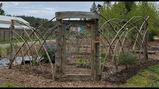 Make a Rustic Garden Fence From Cedar Branches