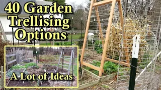 40 Garden Trellising Examples for Growing Vegetables Vertically: All DIY Budget Friendly Options