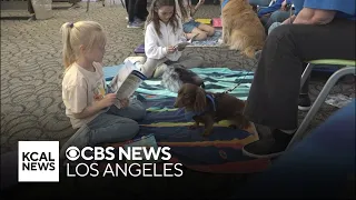 Helping kids get over their fear of reading out loud through "canine literacy"