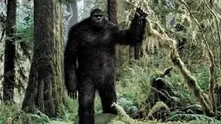 National Geographic Documentary - The Latest Bigfoot Evidence - Documentary 2015