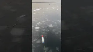 Испытания торпеда или ракета китайская для постановки сетей под лёд