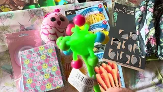 Monday Funday #dollartreehaul  #dollartreestickers HAUL with me