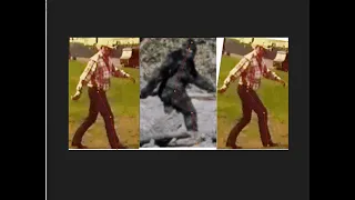 Bob Heironimus and the Patterson Gimlin Film 20 Years Later