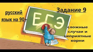 ЕГЭ русский язык 2024 задание 9