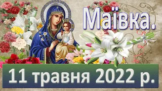 Маївка. 11 травня 2022 р.