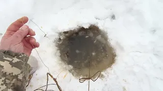 р.  Обь .  Проверка  перемёта  на  живца.