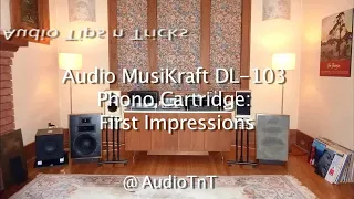 Audio MusiKraft DL-103 Phono Cartridge: First Impressions