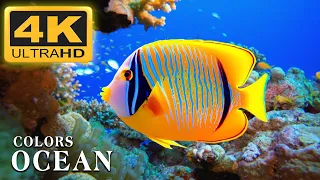 Aquarium 4K VIDEO (ULTRA HD) 🐠 Beautiful Coral Reef Fish - Relaxing Sleep Meditation Music