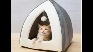 caminha para gato barata da aliexpress