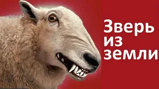 Зверь выходящий из земли