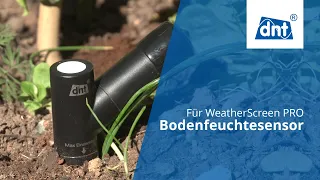 dnt Bodenfeuchtesensor für WLAN-Wetterstation WeatherScreen PRO (DNT000019)