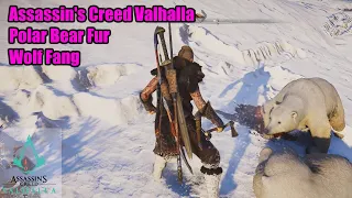 AC Valhalla: Polar Bear Fur & Wolf Fangs