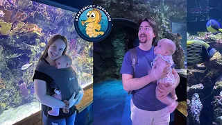 Visiting The Shreveport Aquarium