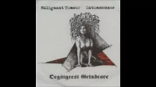 Malignant Tumour - Intumescence Split