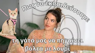 Πως να εκπαιδεύσουμε τη γάτα μας να πηγαίνει βόλτα με λουρί