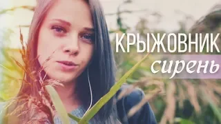 Крыжовник и сирень - Priscilla's Song Cover (The Witcher 3)