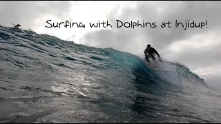 Surfing with Dolphins at Injidup!