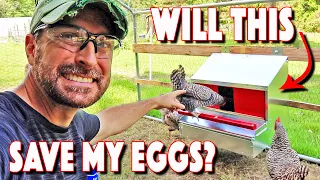Hengear Review. Will THIS Save My Eggs? Testing A New Nesting Box