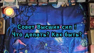 Совет Высших сил в данной ситуации! Что делать? Как быть?🔮🙏🪄✨️🪬