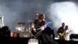 foo fighters  marigold