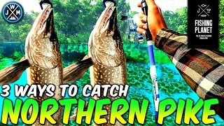 3 WAYS To Catch NORTHERN PIKE on Saint Croix Lake - Fishing Planet 2023