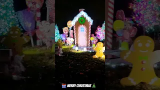 🎄Christmas Lights💡Gingerbread Village 🏘 at Freeman Lake Park #christmas #light #holiday