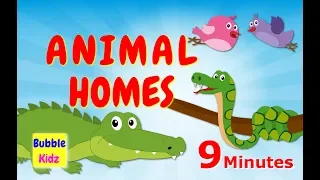 Learn About Different Animal Names And Homes | Animal Names And Homes For Kids