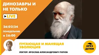 Занятие "Пугающая и манящая эволюция" кружка "Динозавры и не только" с Ярославом Поповым