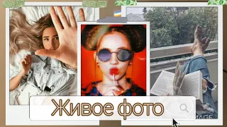 Как сделать живые фото 🤷‍♀️  Движущиеся картинки | Vimage