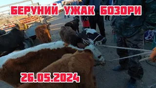 БЕРУНИЙ УЖАК СИГИР БОЗОРИ 26.05.2024