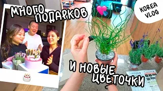 Внезапный сюрприз на ДР /KOREA VLOG/