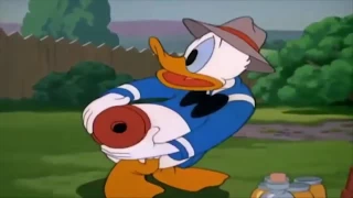 4Kᴴᴰ Donald Duck  Chip Disney cartoon for kids