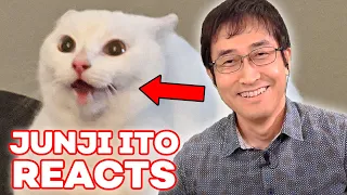 Junji Ito Reacts to YOUR Cats | React