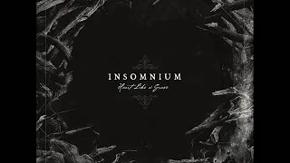 INSOMNIUM - Heart like a Grave