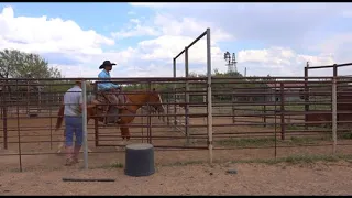 West Texas Ranchers weigh in on the influx of migrants crossing the border