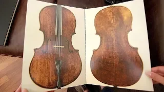 Guarneri vs Stradivarius vs Montagnana Cello Shapes - part 2 | Luthier Lessons