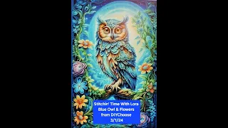 Stitchin' Time With Lora Blue Owl & Flowers Stamped Cross Stitch from DIYChoose 3/1/24