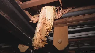 Tree crashes through home into basement during severe storms