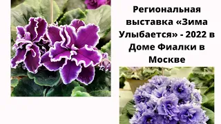 Обзор выставки «Зима Улыбается» - 2022 в Доме Фиалки в Москве