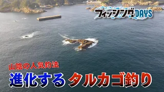 フィッシングDAYS「山陰の人気釣法　進化するタルカゴ釣り」