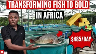 The Million-Dollar Fish Farming Secret Revealed/ Pisciculture In Africa