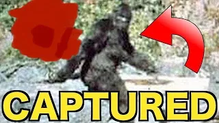 W0rld Record Bigfoot Hunting! Bigfoot CAPTURED!