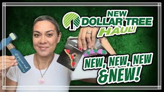 *** NEW Dollar Tree Haul *** NEW NEW NEW! 5/28/24 (MY CHICAGO HAUL)