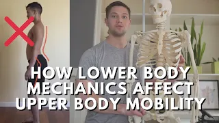 How Lower Body Mechanics Affect Your Shoulder Mobility & Posture