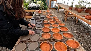 Sealing Terra Cotta Saucers & Thinning Radishes! 🙌💚🌱 // Garden Answer