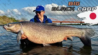 Gábor Döme - Battle with the Giant Black Carp