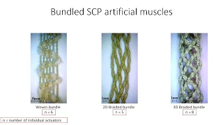"Bundled Super-Coiled Polymer Artificial Muscles: Design, Characterization, and Modeling"