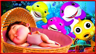 🦈Акулёнок на 3D туруру туру + Ку-ку Красочный Акулёнок! | Banana Cartoon Preschool |Сборник