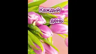 С 8 Марта!🌷Красивое поздравление с 8 марта!!#открытка#8марта#музыкальнаяоткрытка#shorts