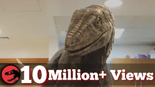 Dinosaur Nightmare - Jurassic World Fan Movie